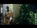 Zorro 5
