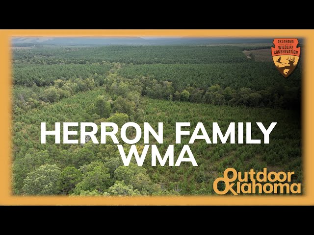 Watch OKLAHOMA RESIDENTS ONLY - Herron Family WMA on YouTube.