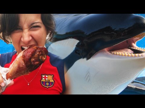 Girl Eats Shamu?! (8.6.09 - Day 98)