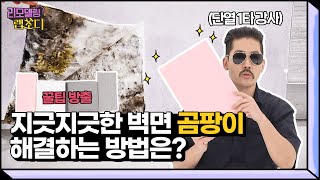 한샘 리하우스