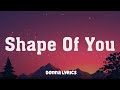 Shape of You - Ed Sheeran (Mix Lyric Video) / Charlie Puth, Shawn Mendes,...