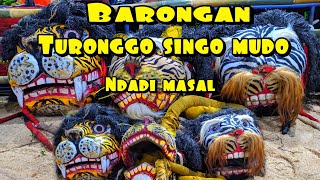 Barongan Ndadi Penonton Full Turonggo Singo Mudo Tsm Live Desa Santolan