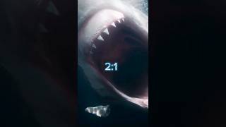 Megalodon Vs Kraken