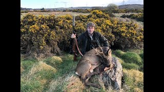 Harvest a Buck with Francisco