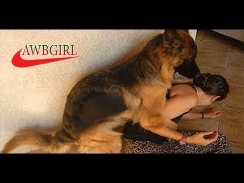 Видео Ебли Женщин С Собаками
