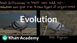 Evolution Middle School Biology Khan Academy