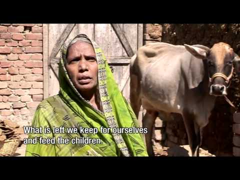 Progressive Farmer on Indramani Kumari  Farmer    Jamnapur Village  Bihar India