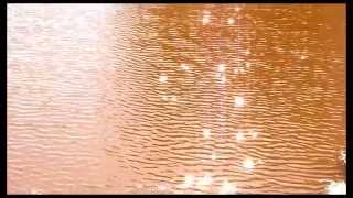 Watch Cocteau Twins Round video