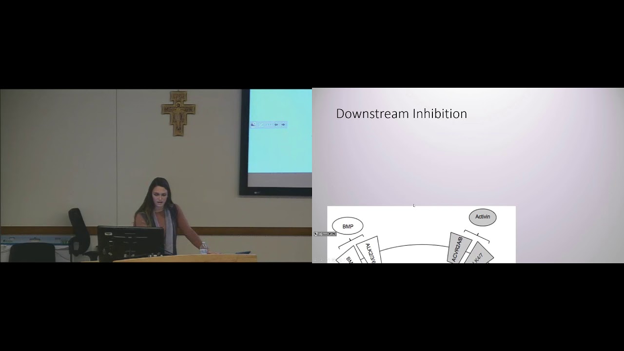 Madeline Totten 2018-11-16 Seminar