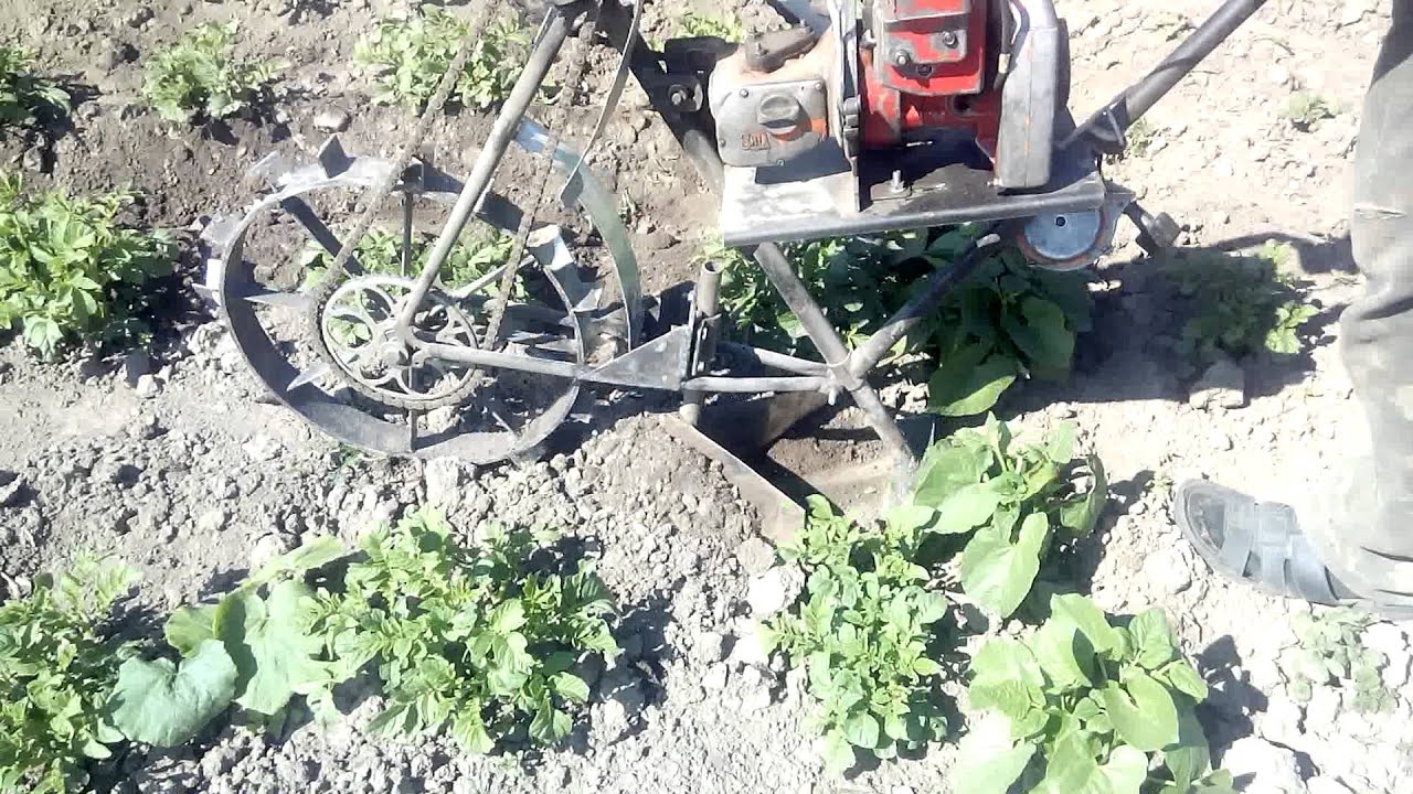 Мотоблок из бензопилы дружба своими руками Мотоблок из бензопилы дружба своими руками