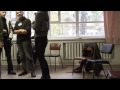 Видео Сахнюк С., Тушинская Н. "Собачья жизнь".