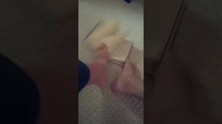 Opening Book