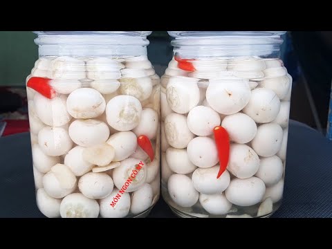 Cách muối CÀ PHÁO trắng giòn không bị đen mà để được lâu