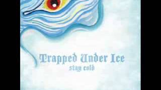 Watch Trapped Under Ice Skeleton Heads video