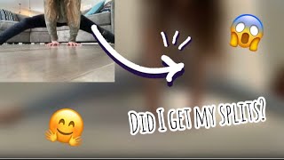 Pt.2Anna Mc Nulty 2 Weeks Splits Challenge