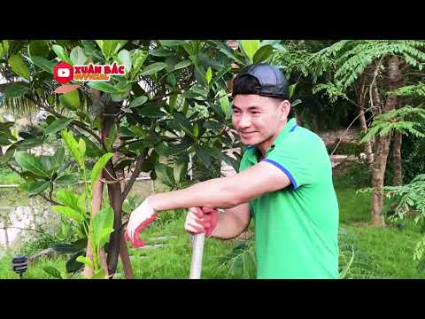 Không chịu nổi phát ngôn của "ông" Bi, tôi sẽ hoc lại Tiếng Anh - một người cha bị cà khịa cho biết!