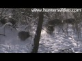 Lovecké video - černá zvěř III.