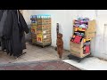 Watching video Cute Dog on two legs - what is he/she waiting for?