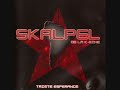 skalpel feat jack tk meme combat.wmv