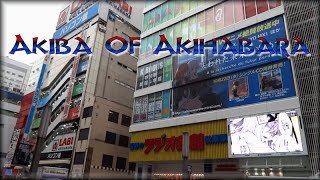 Akiba Of Akihabara ?Japan Vlog 19?