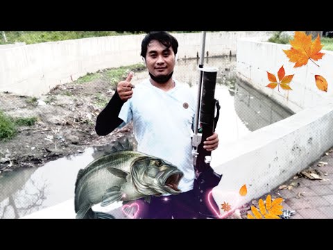 Setrike  ikan monster babon