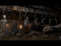 Sebastian's Voodoo