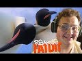 FATTY DABUJE ZVÍŘATA