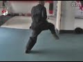 Tang Shou Quan 15th generation master