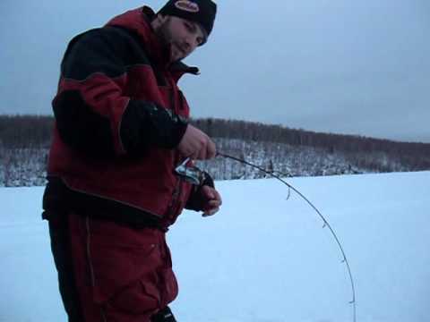 Lake Erie Fishing Report on Extreme Lake Trout Ice Fishing Back To Back Hogs