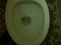 American Standard Glenco 1970s Toilet Flush