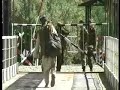 Drugs Blight - Tajikistan