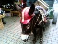 maroc insolite