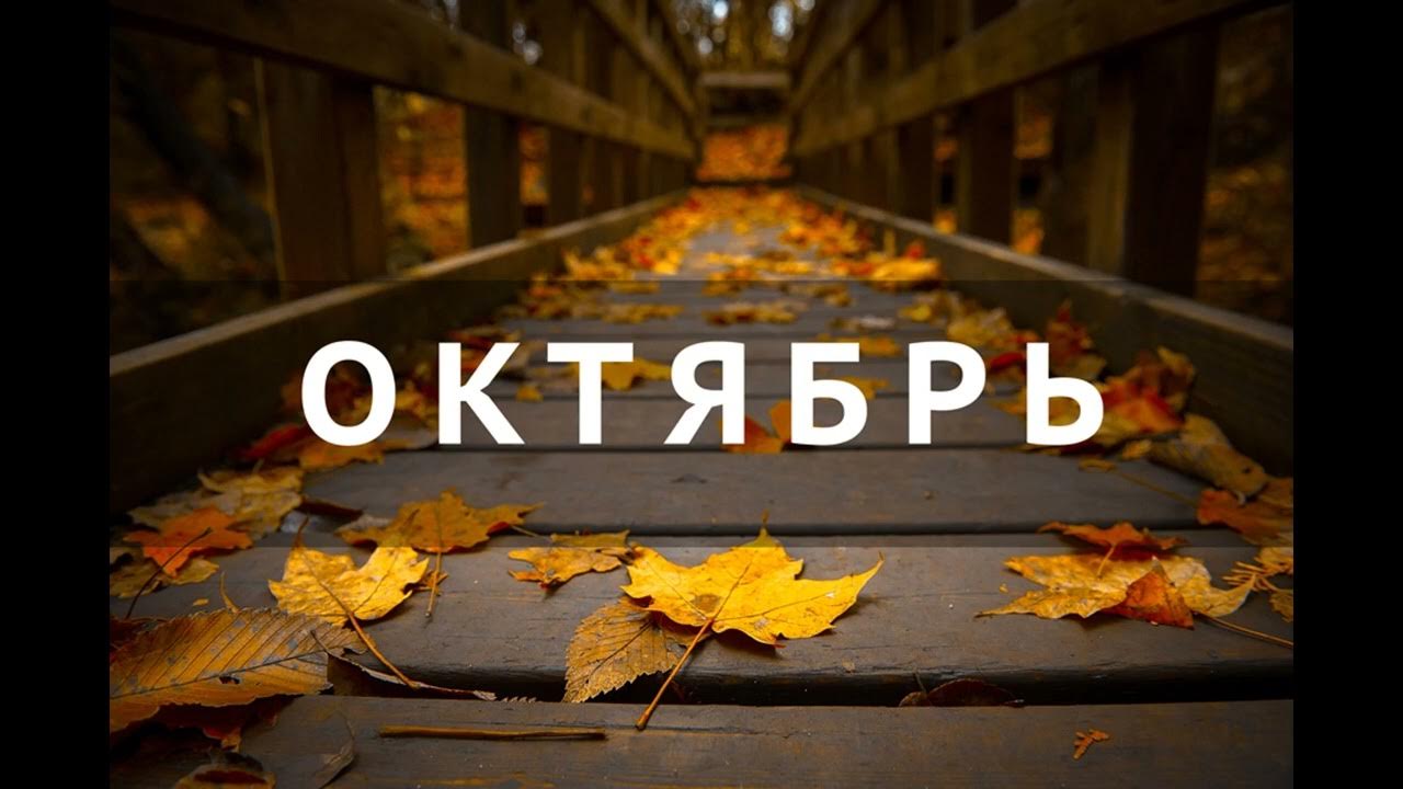 Картинка сентябрь