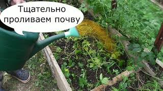 Обработка теплиц фармайодом Обработка теплиц фармайодом