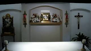 Rosary Stronghold and Adoration - 26th May 2021