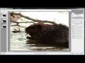 How to Open and Edit Images in Adobe Camera Raw CS5