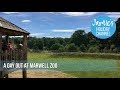 Marwell Zoo (Hampshire - England)