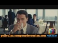 Cdo Peliculas El Lobo De Wall Street Primer Dia En ...