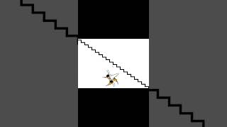 Scratch Cat Falls Down Stairs Emotional