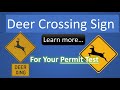 Deer Crossing Sign: Learn more for Permit Test