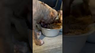 Eating