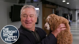 Robert De Niro Has Never Seen a Dog Robert De Niro Has Never Seen a Dog