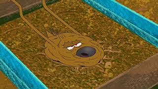 Season 1 Zig & Sharko Best Clip Hd