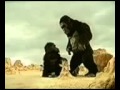 Kingkong Tamilanda com