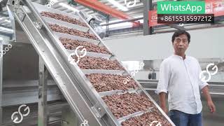 Cocoa Powder Production Equipment Cacao Processing Machines