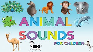 Animal Sounds for Children (30 Amazing Real Animals) | Names, Sounds, funny Images and videos.