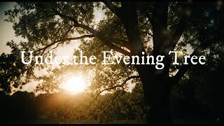 Under The Evening Tree