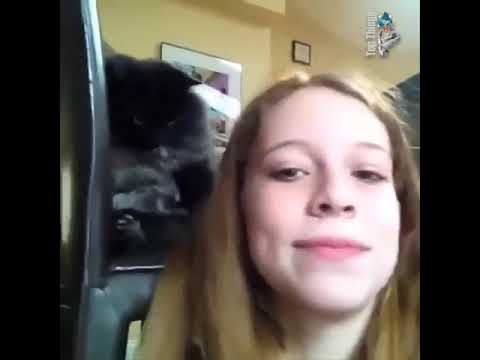 Top Funny Animals Part (2)