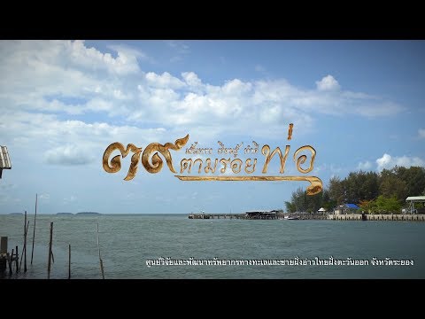 ศูนย์วิจัยทรัพยากรทางทะเล และชายฝั่งอ่าวไทยฝั่งตะวันออก by #ทีมขับซ่า