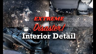 Extreme Interior Detail -- Dog Fur, Rotten Food, Spills, Dirt, Garbage, Jeep Wrangler